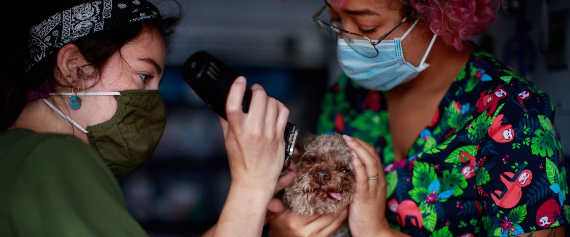 Exploring Referral Programs in Pet Care Organizations in Western Washington