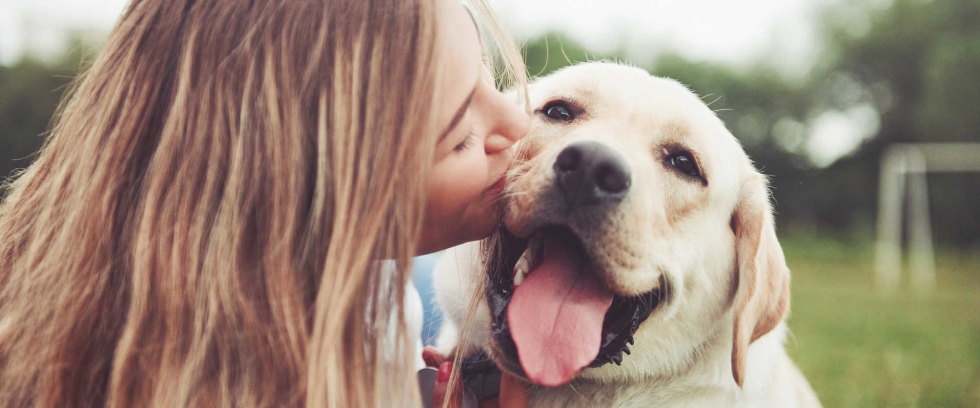 Comprehensive Guide to Pet Care Organizations' Hours of Operation in Western Washington