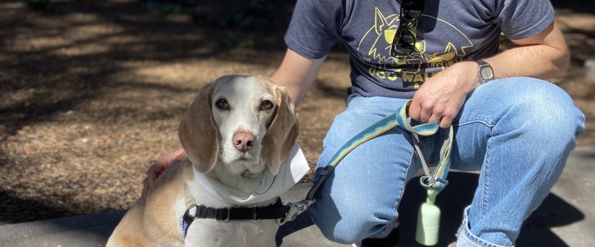 Exploring Pet Care Organizations in Western Washington: Pet Sitting and Dog Walking Services