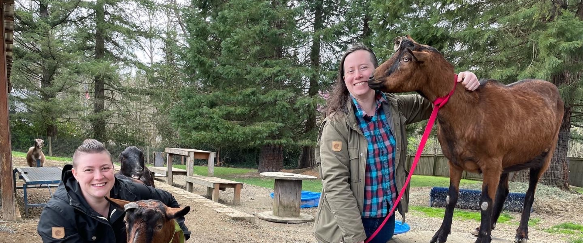 A Comprehensive Guide to Donating to Pet Care Organizations in Western Washington