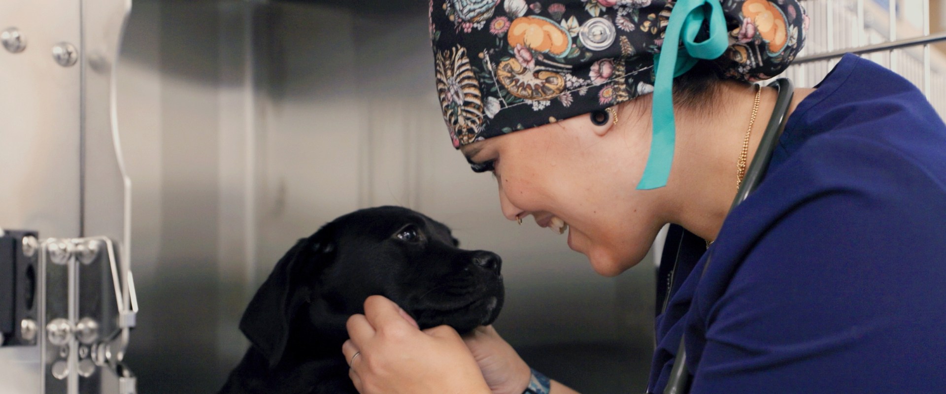 Exploring Pet Care Organizations in Western Washington: Specializations and Services