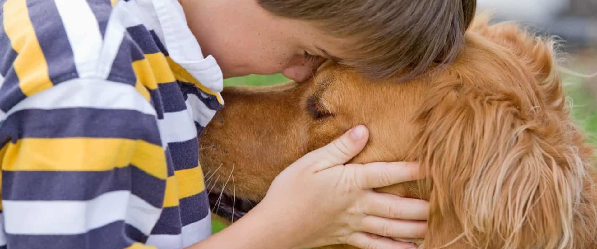 A Comprehensive Guide to Surrendering Your Pet to Care Organizations in Western Washington