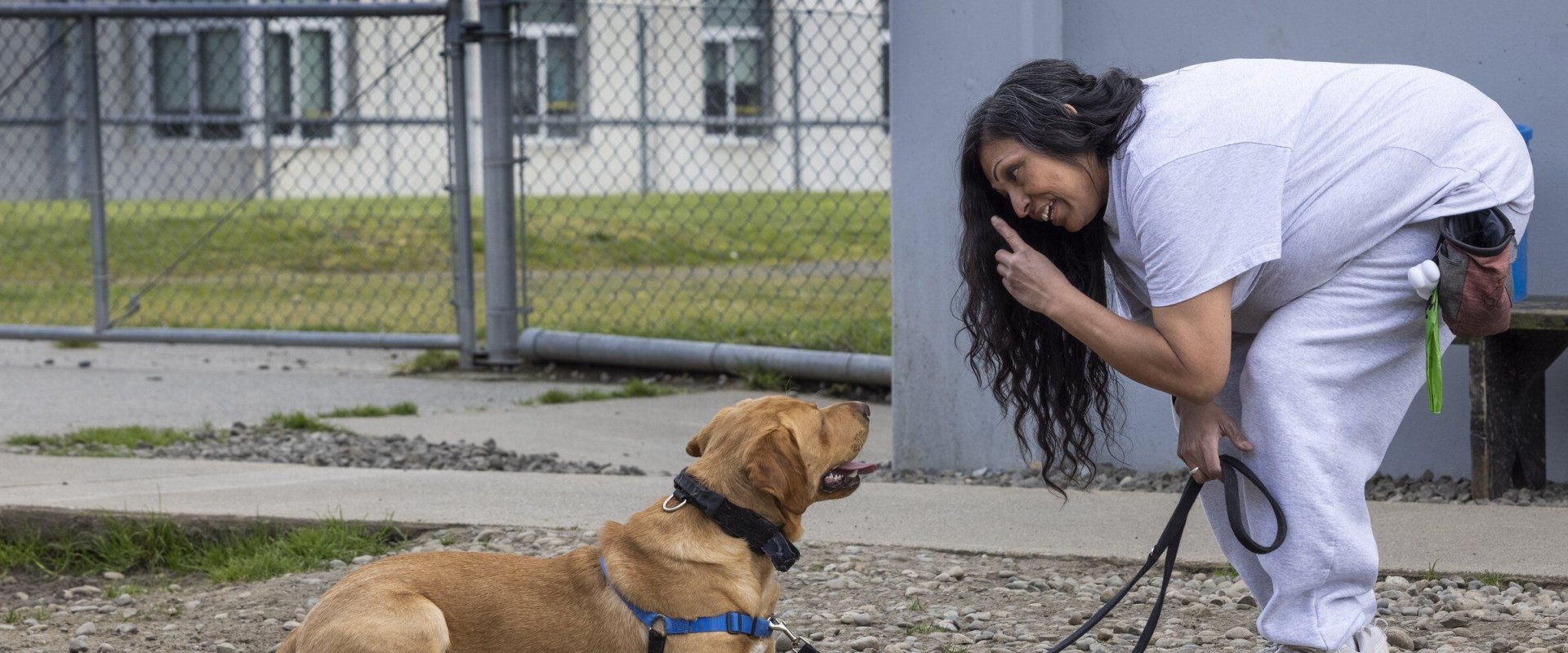 Essential Requirements for Pet Owners to Engage with Pet Care Organizations in Western Washington