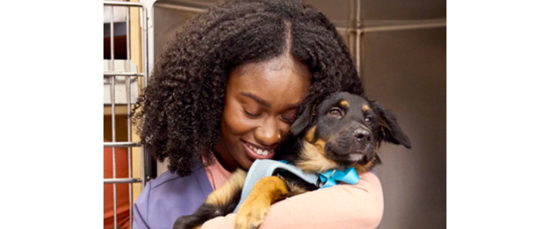 Essential Qualifications for Working at Pet Care Organizations in Western Washington