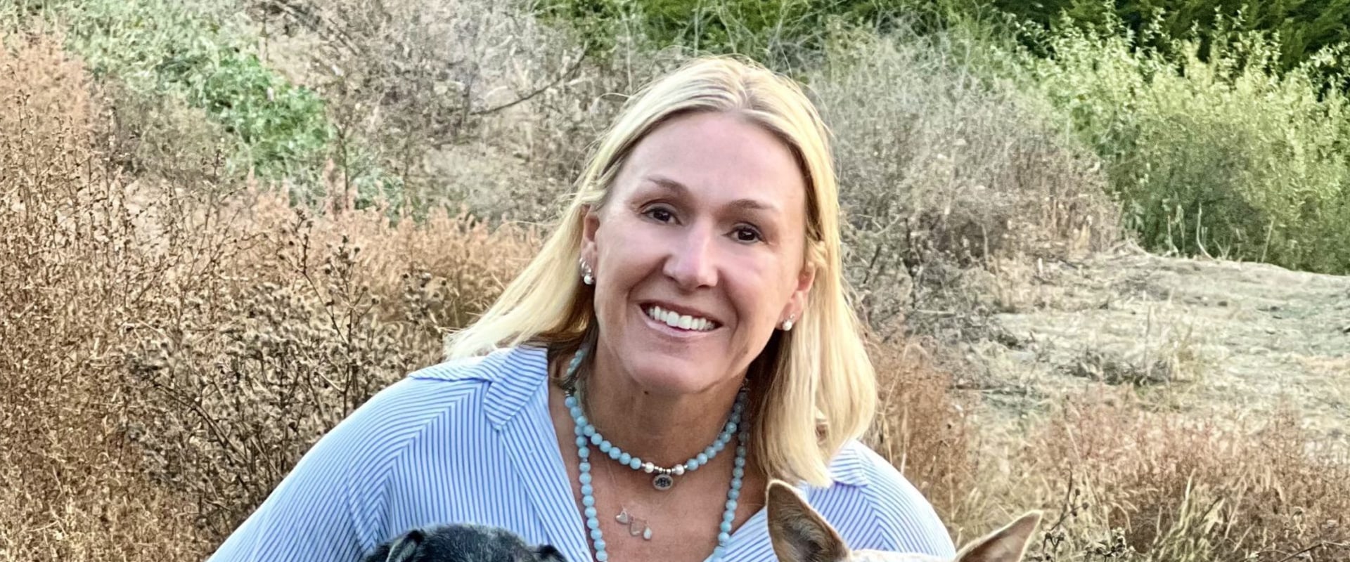 Exploring Non-Profit Pet Care Organizations in Western Washington