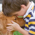 A Comprehensive Guide to Surrendering Your Pet to Care Organizations in Western Washington