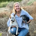 Exploring Mobile Pet Care Organizations in Western Washington