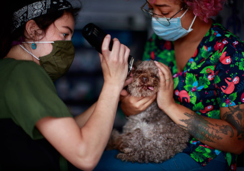 Exploring Referral Programs in Pet Care Organizations in Western Washington