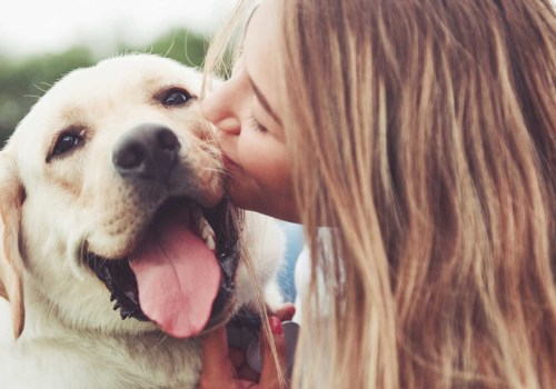 Comprehensive Guide to Pet Care Organizations' Hours of Operation in Western Washington