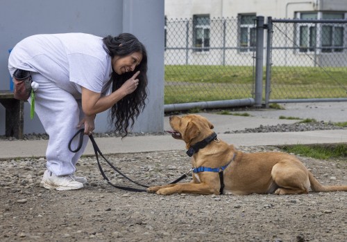Exploring Partnerships Between Pet Care Organizations and Veterinarians in Western Washington