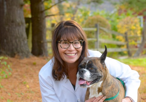 A Comprehensive Guide to Scheduling Appointments with Pet Care Organizations in Western Washington