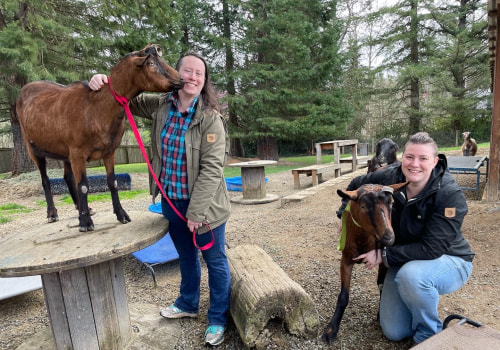 A Comprehensive Guide to Donating to Pet Care Organizations in Western Washington