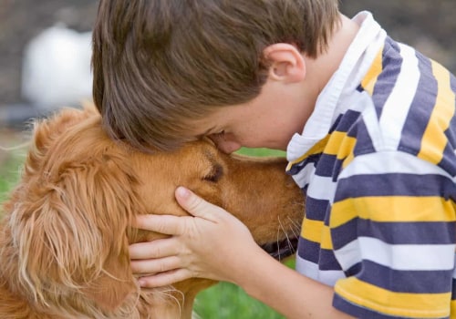 A Comprehensive Guide to Surrendering Your Pet to Care Organizations in Western Washington
