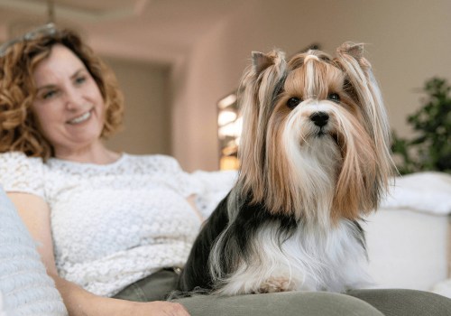 Exploring Grooming Services Offered by Pet Care Organizations in Western Washington