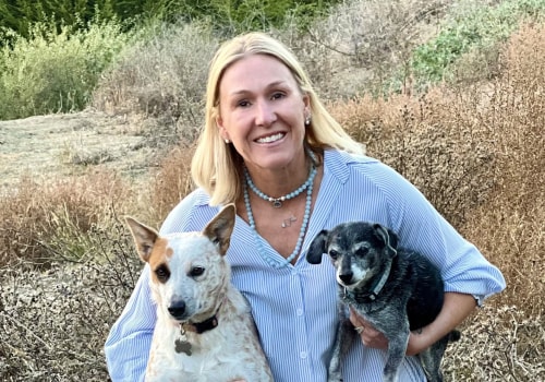 Exploring Non-Profit Pet Care Organizations in Western Washington